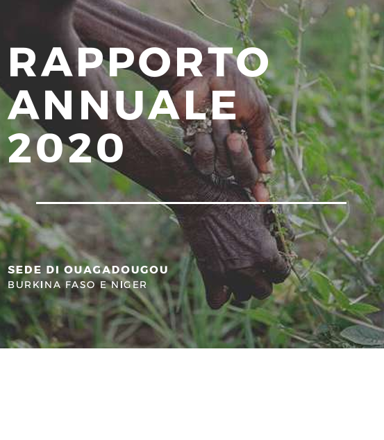 Rapporto Annuale 2020