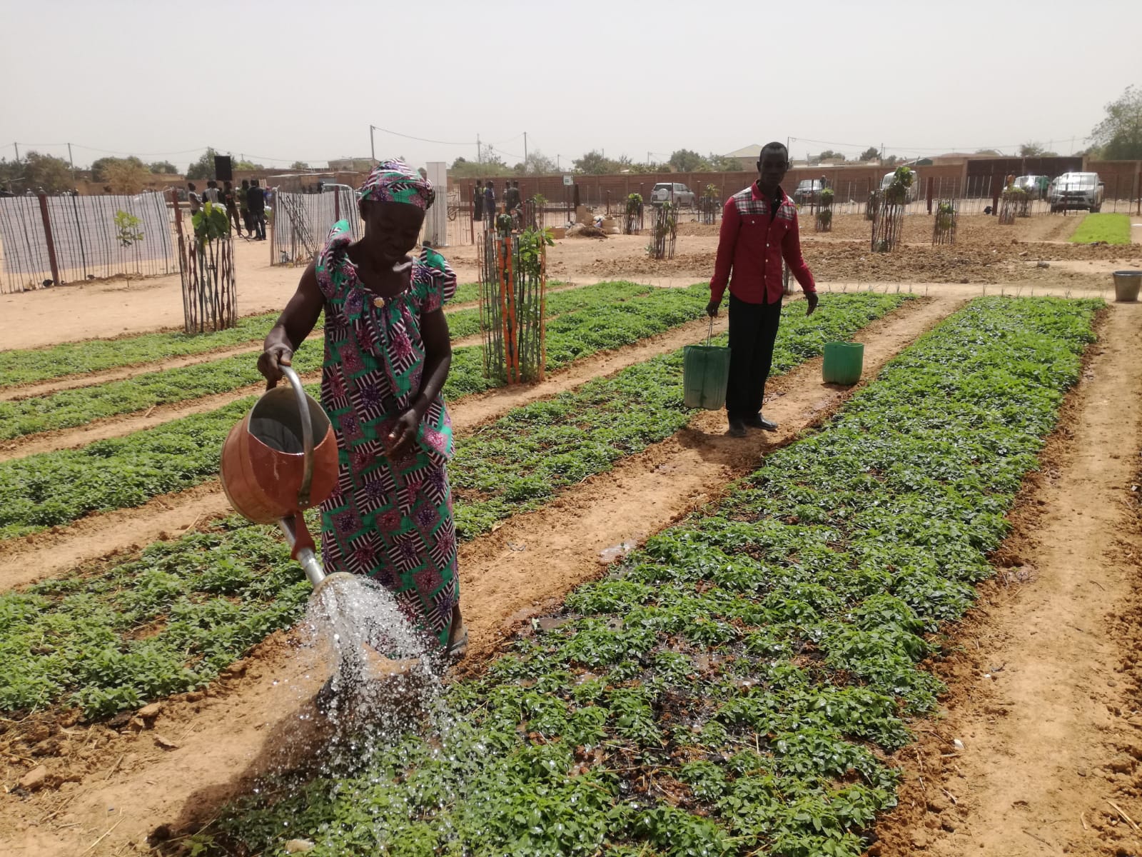 Ouagadougou: Cerimonia di apertura delle attività di agricoltura urbana in collaborazione con la ONG Mani Tese